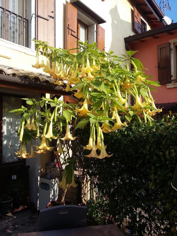 Bed and Breakfast La Carbonara 6 Bardolino Esterno foto