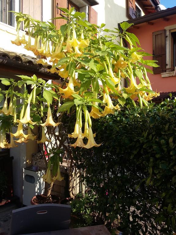 Bed and Breakfast La Carbonara 6 Bardolino Esterno foto